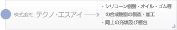 株式会社 テクノエスアイ